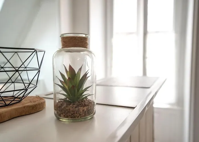 Apartment Le Nid - Place Imbach Angers